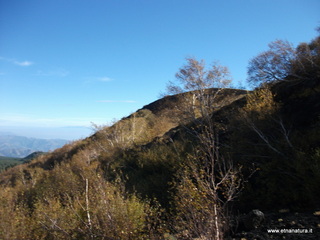 llone monte Zappinazzo-04-11-2012 10-00-34